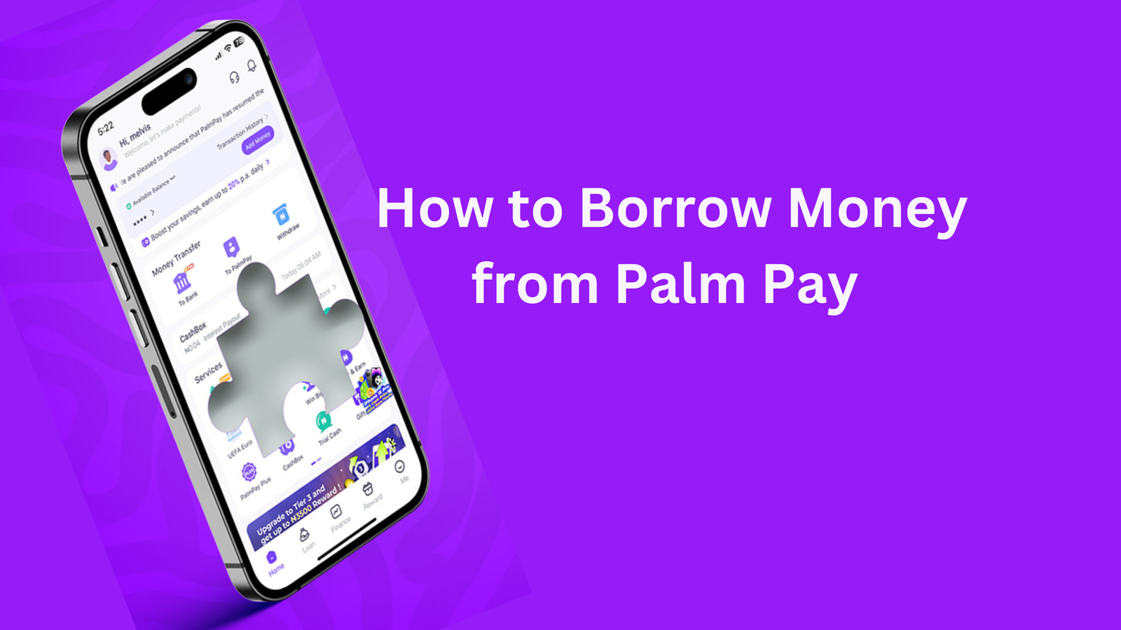 How to Borrow Money from Palm Pay